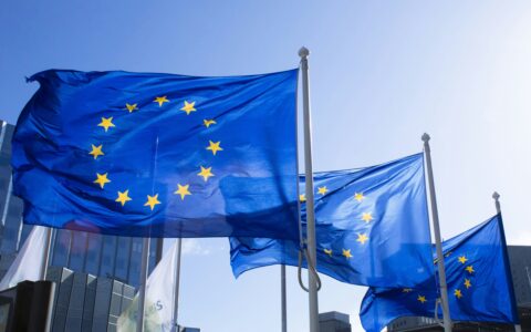 European Union flags waving on flagpoles against a blue sky